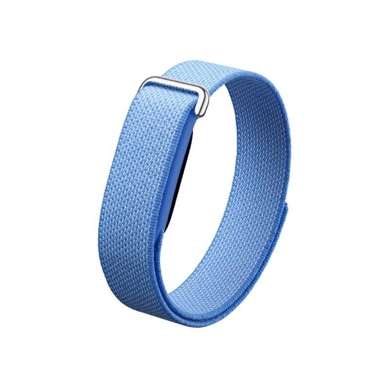 Google Fitbit Air