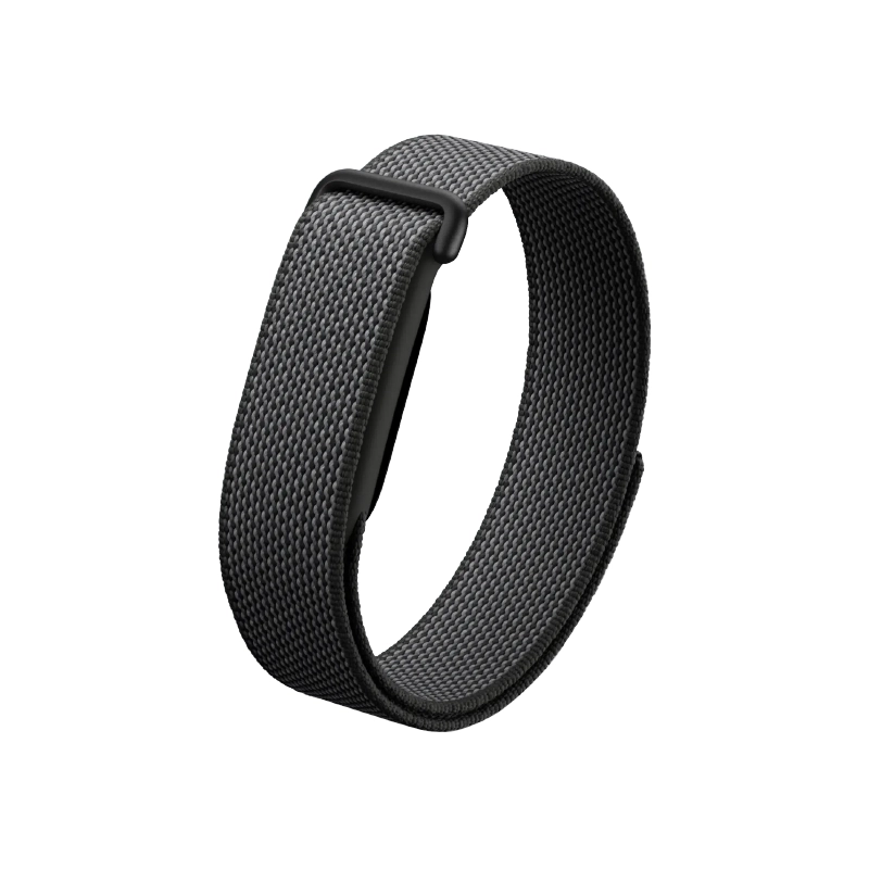 Google Fitbit Air