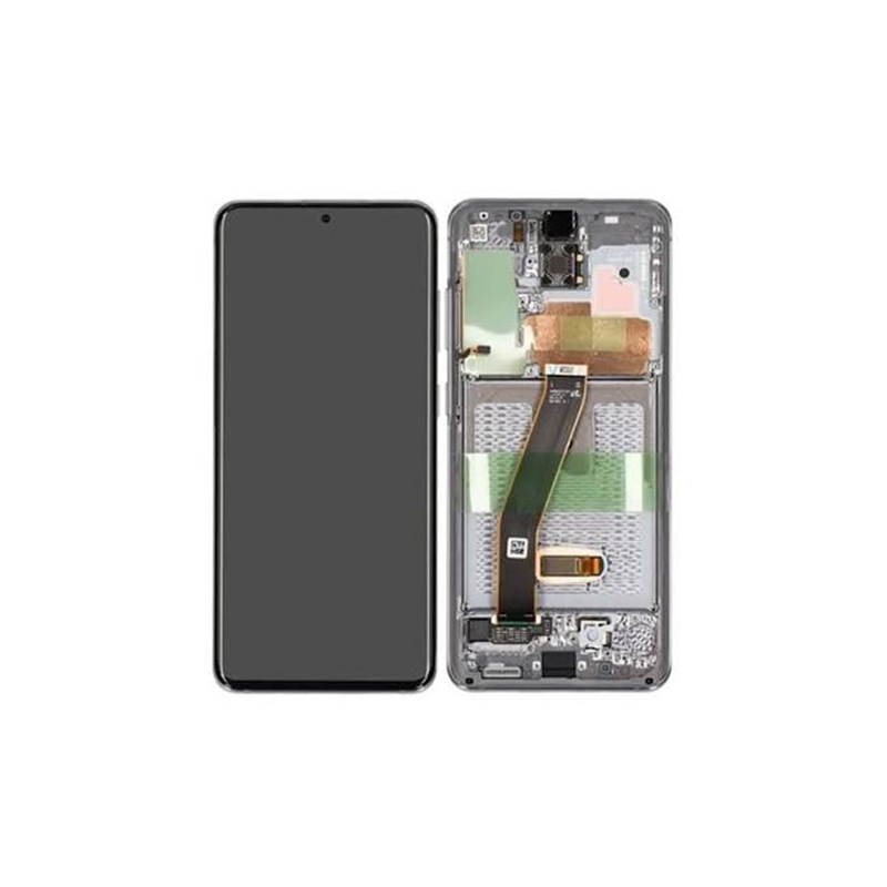 Samsung Galaxy S20 Display 1